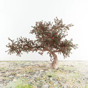 Modern Red Jigu Luo Han Pine Shaped Red Jigu 3d model