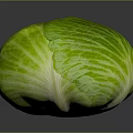 Fresh Green Cabbage with Leafy Texture Organic Raw Vegetable Ideal for Healthy Salads