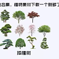 The Modern Tree 3d model