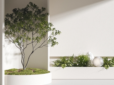 Modern Tree Plants 3d model