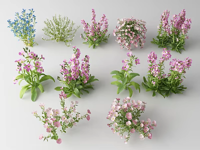 Colorful Assorted Flower and Plant Varieties with Various Blooms and Green Foliage 3d model