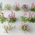 Colorful Assorted Flower and Plant Varieties with Various Blooms and Green Foliage