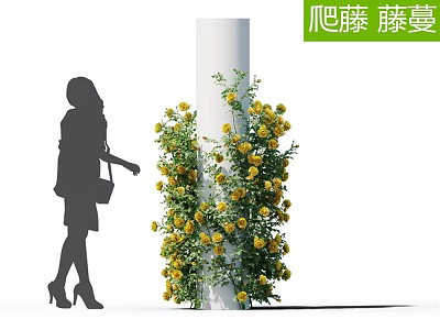 Beautiful Climbing Vines with Yellow Flowers Wrapping Around White Column and Woman Silhouette 3d model
