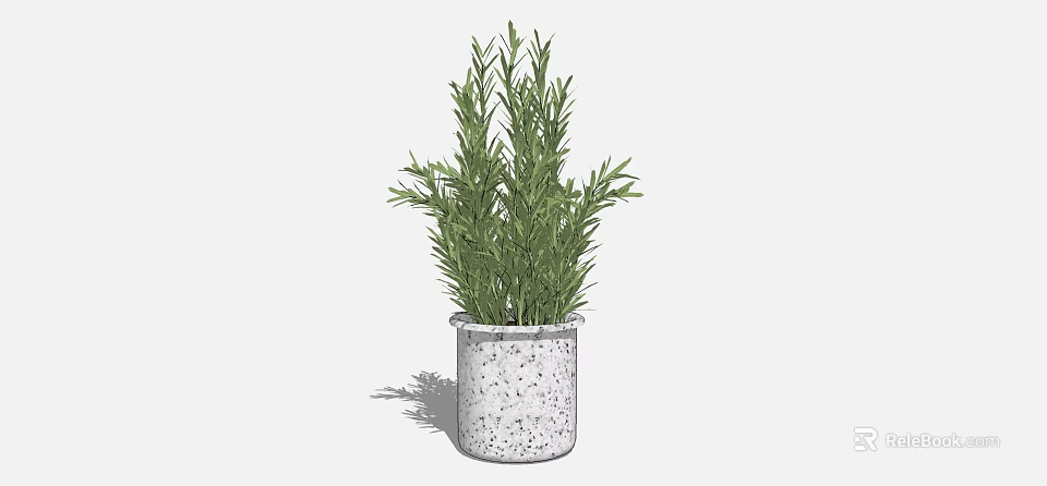 Bonsai Potted Plant with Lush Green Leaves in Speckled Concrete Pot 3d model 