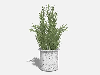 Bonsai Potted Plant with Lush Green Leaves in Speckled Concrete Pot 3d model