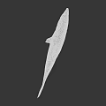 Realistic 3D Model of Blue Silver Fish With Detailed Fins and Eyes