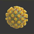 Scientists Study 3D Rendered Virus Structure With Green Yellow Red Spikes
