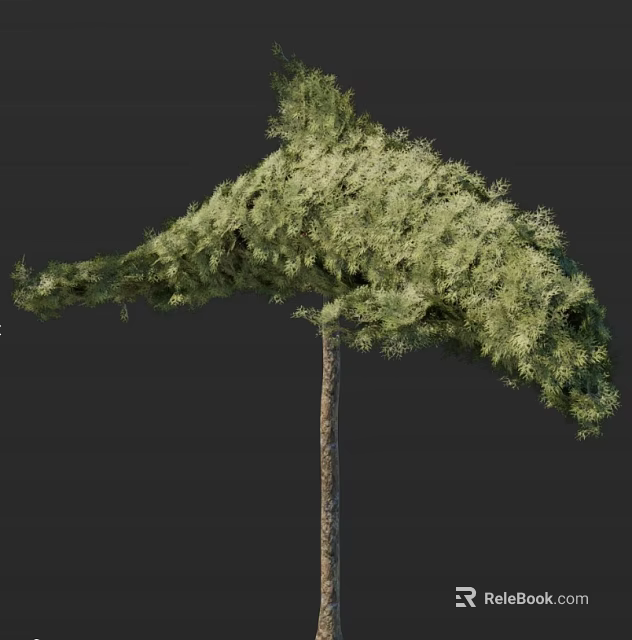 Lush Green Arbor With Dense Canopy And Tall Straight Trunk 3d model 