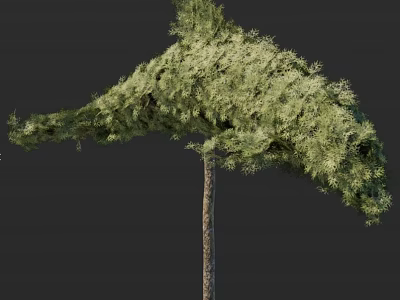 Lush Green Arbor With Dense Canopy And Tall Straight Trunk 3d model