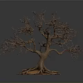 Isolated Leafless Tree With Thin Trunk And Exposed Roots On Dark Background