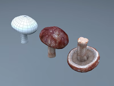 Modern Mushroom Shiitake 3d model