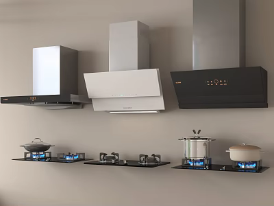 Stylish Modern Kitchen Cookware Including Range Hoods Gas Stoves And Pots With Blue Flames 3d model