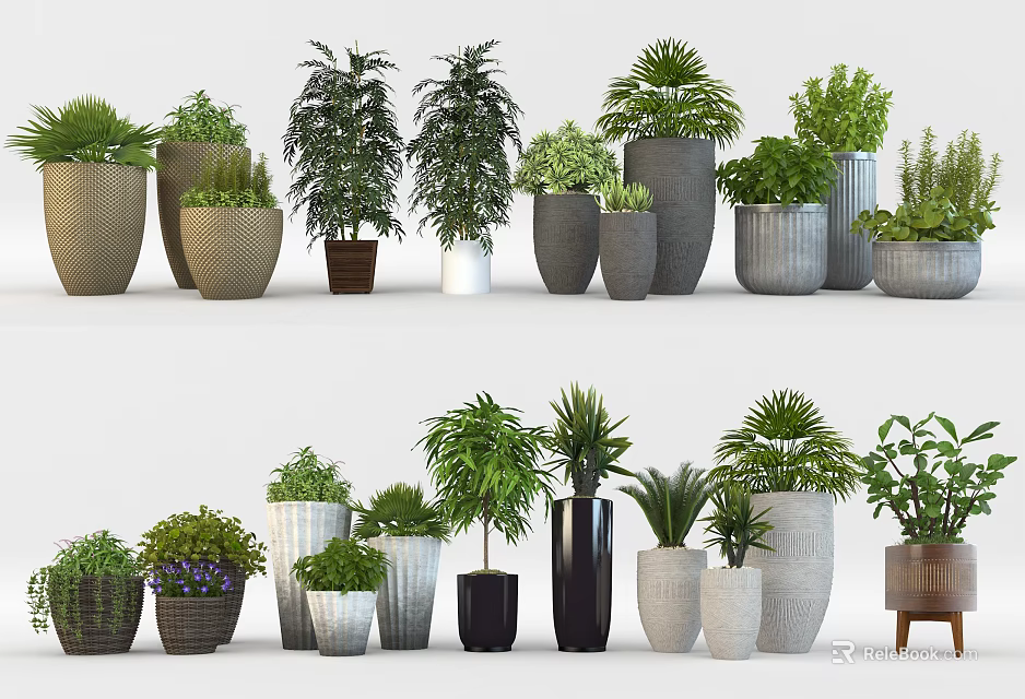 Diverse Bonsai Potted Plants In Stylish Ceramic And Metal Pots For Home Decor 3d model 