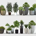 Diverse Bonsai Potted Plants In Stylish Ceramic And Metal Pots For Home Decor