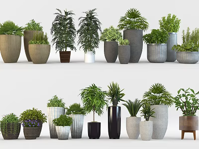 Diverse Bonsai Potted Plants In Stylish Ceramic And Metal Pots For Home Decor 3d model