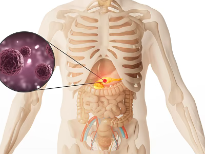 Innovative Medical Device for Stomach Area Diagnosis with Human Anatomy and Cell Imaging 3d model