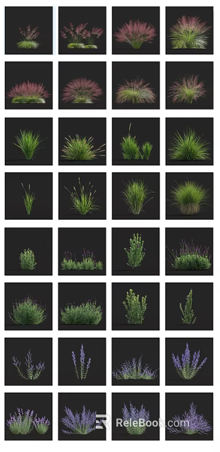 Various Garden Flowers And Grasses With Green Foliage And Purple Lavender Blooms 3d model 