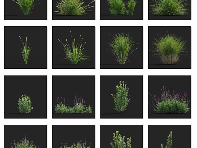 Various Garden Flowers And Grasses With Green Foliage And Purple Lavender Blooms 3d model