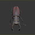 Modern beetle dung beetle chafer 3d model