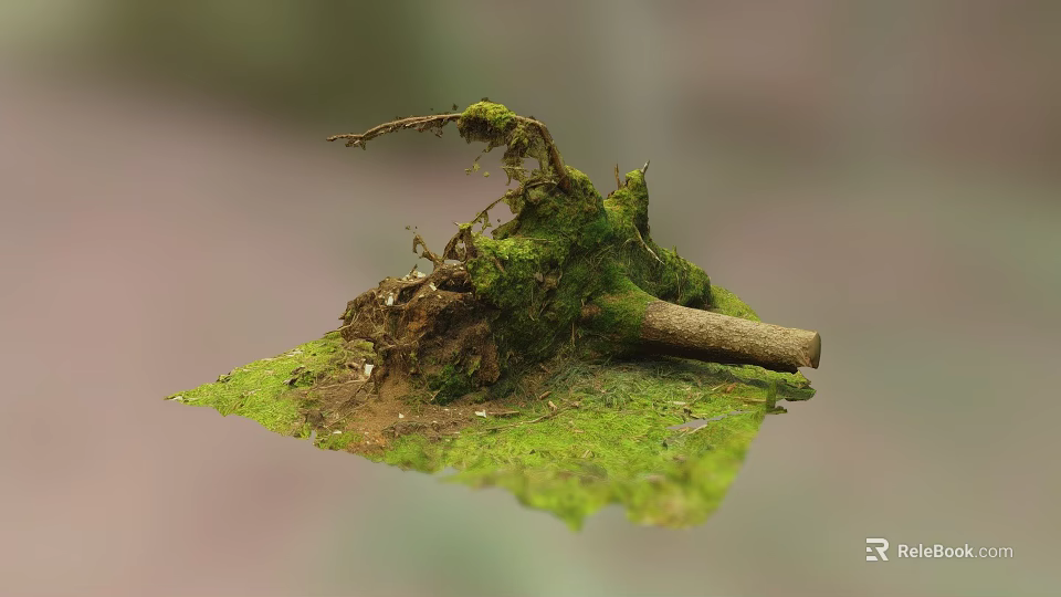 Lush Green Moss Covered Tree Roots On Natural Ground With Soil And Dead Branches 3d model 