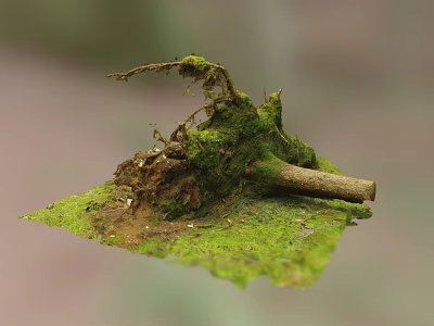 Lush Green Moss Covered Tree Roots On Natural Ground With Soil And Dead Branches 3d model