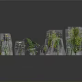 Various Green Plants Collection With Different Shapes And Sizes Displayed On Gray Background