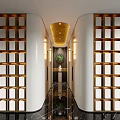 Luxurious Elevator Corridor With Decorative Walls Marble Floor And Artistic Decor
