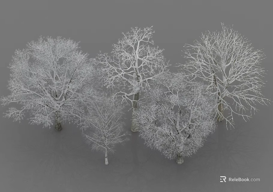 Collection of Deciduous Arbor Trees with Bare Branches on Gray Background 3d model 