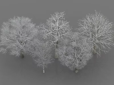 Collection of Deciduous Arbor Trees with Bare Branches on Gray Background 3d model