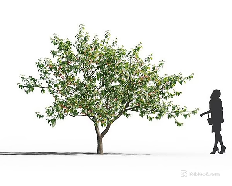 Lush Green Arbor With Dense Foliage And Woman Silhouette Touching Branches 3d model 