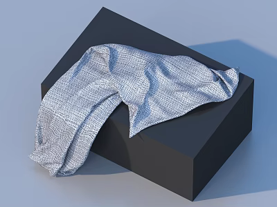 Grey Textured Fabric on Black Cube Base for Daily Living Items 3d model