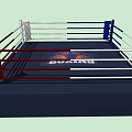 Professional Boxing Ring With Blue Platform White Ropes Red Corner Pads For Fitness Training