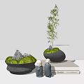 Bonsai Potted Plant With Green Moss Stones And Bamboo In Black Pot On White Stand
