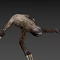 Realistic 3D Sloth Character Model For Game And Movie Animations
