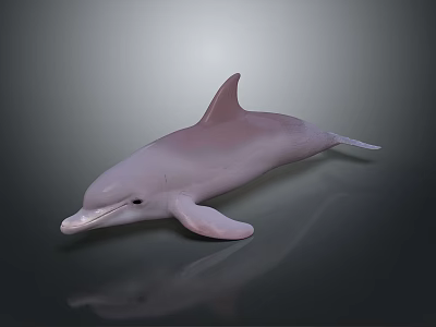 Pink Dolphin Decorative Figurine For Household Use With Dark Background Reflection 3d model