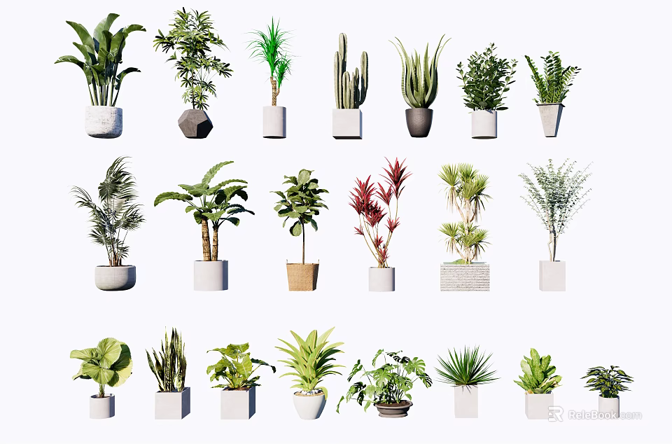 Diverse Potted Green Plants With Various Foliage And Decorative Pots 3d model 