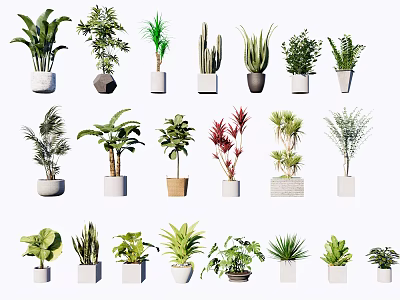 Diverse Potted Green Plants With Various Foliage And Decorative Pots 3d model