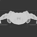 Muscular System Human Body Anatomical Model With Clear Detailed Muscle Structure
