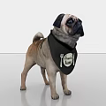 Cute Pug Dog Wearing Black Bandana With Best Chef Logo And Utensils Design