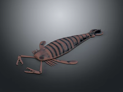 Detailed 3D Modeled Striped Shrimp With Copper Colored Body On Gray Background 3d model