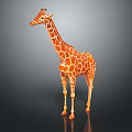 Giraffe Model With Orange Brown Spotted Pattern Standing On Dark Background With Shiny Reflection