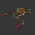 Vibrant Red Aquatic Lobster With Large Claws And Segmented Body Against Black Background