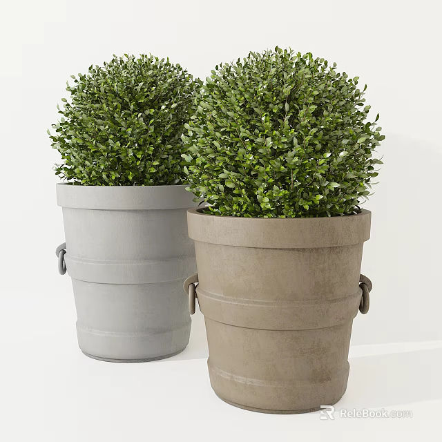 Round Green Foliage Potted Plants In Gray And Brown Bucket Shaped Pots With Handles 3d model 