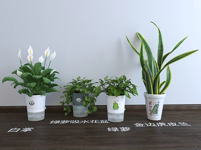Indoor Potted Peace Lily Pothos Gold Edge Spider Plant in Ceramic Self Watering Pots 3d model