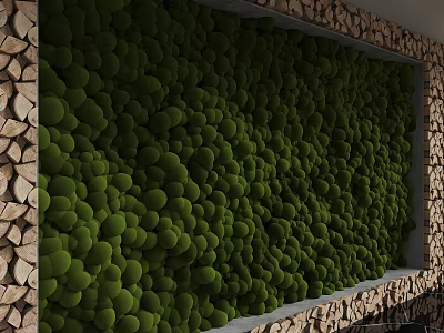 Green Round Plant Elements Wall With Wooden Accent Frame Design 3d model