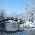 Modern Snow Landscape Snow Tree Shrub River Bridge 3d model