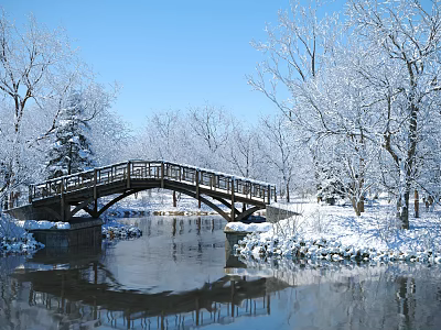 Scenic Winter Landscape With Snow Covered Trees Wooden Bridge And River Reflection 3d model