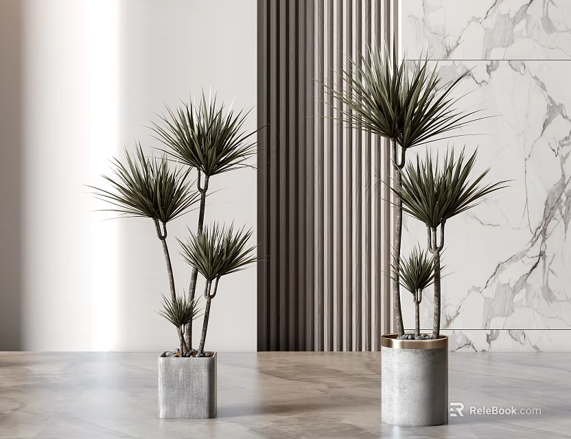 Bonsai Plants With Slender Leaves In Cement Pots Against Marble Wall And Wooden Floor 3d model 