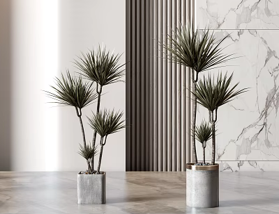 Bonsai Plants With Slender Leaves In Cement Pots Against Marble Wall And Wooden Floor 3d model