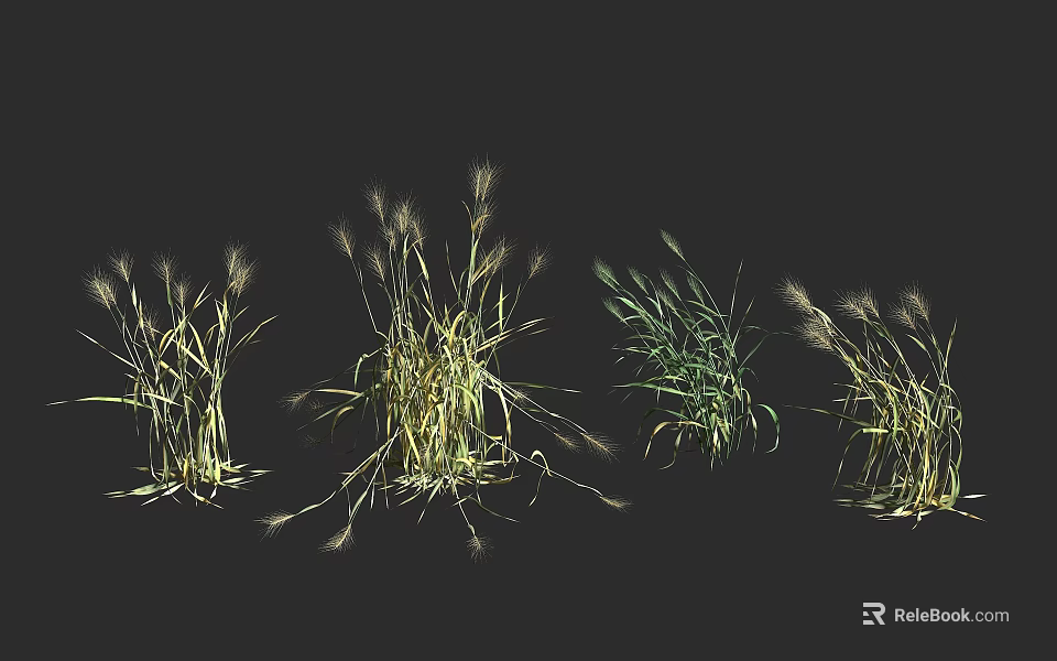 Various Types of Agricultural Crops With Green and Yellow Foliage in Natural Setting 3d model 